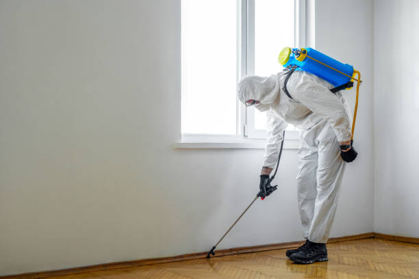 Best Emergency Pest Control  in Laurel, DE