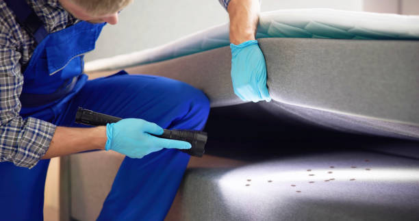 Best Mosquito Control Services  in Laurel, DE