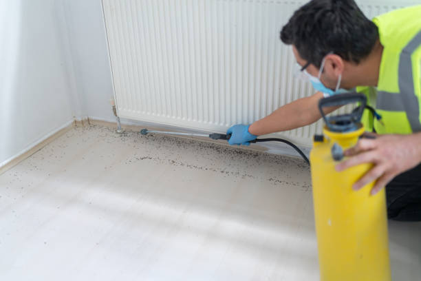 Pest Control Cost in Laurel, DE