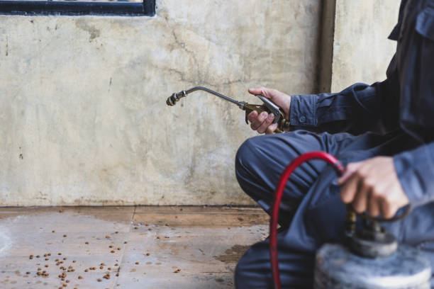 Best Wasp Removal Services  in Laurel, DE